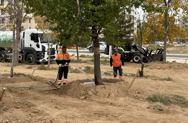 Konya Büyükşehir, Raylı Sistem Çalışmalarında Ağaçları Korumaya Devam Ediyor