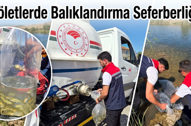 Konya'da geleceğe miras: 172 bin balık daha sularla buluştu!
