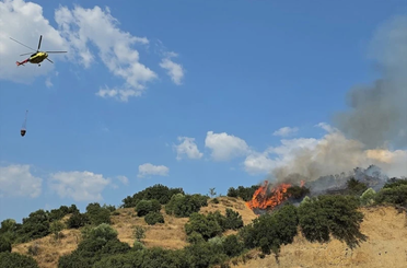 Orman yangınlarıyla ilgili 11 şüpheli tutuklandı